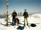 2003 VF holna cast