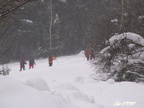 20050213 Turzovka Neslusa