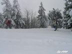 2005