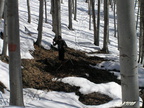 20050325 Martinske hole