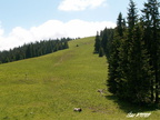 20050618 Kutnikov kopec