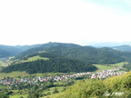 2005