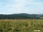 PICT0135