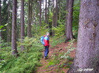 2005