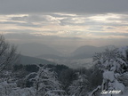 20060106 Husarik