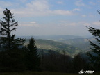 2006