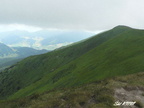 2006