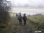 2006