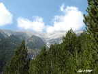 2006 Grecko Olymp