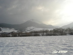 DSC01624