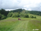 19DSC02327