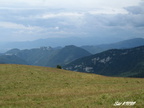 IMG 2622