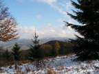 2007