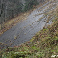 DSC03202