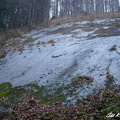DSC03203
