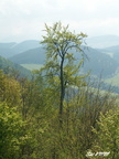 PICT0074