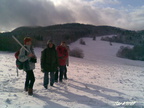 2008