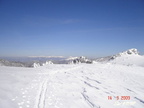 2009