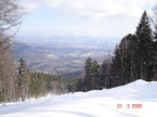 2009