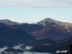 2009