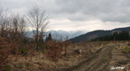 2010