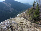 2010