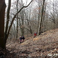 Brodnianka 08
