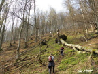 Ladonhora 07
