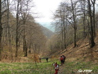 Ladonhora 08