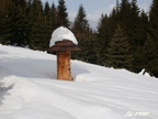 20120225 Vsetinske vrchy