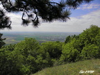 Zobor 19