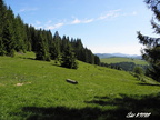 Vrchovina 11