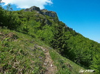 2011-2020