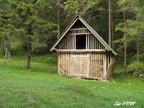 Drienok 01