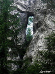 Drienok 02