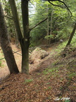 Drienok 05