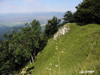 Drienok 14