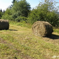 Hlinene 14