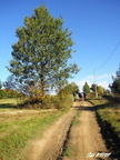 Javorske 11