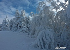 VelkaRaca 07