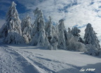VelkaRaca 09