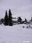 Girova 06