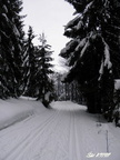 Girova 11