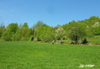 Velka Raca 05