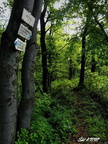 Himalaje sobota 09