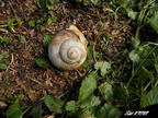 Himalaje sobota 12