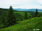 Skorusina 04