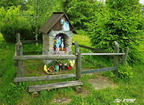 Skorusina 05
