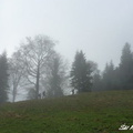 Osnica 01
