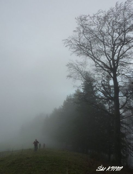 Osnica_02.jpg